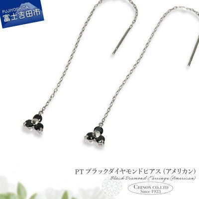 PT　ブラックダイヤモンドアメリカンピアス　CS-707