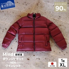 選手支給品】ラグビー日本代表 ダウンベスト （XL） その他