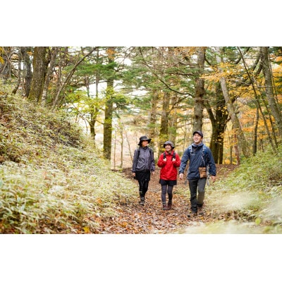 【エコツアー】富士山麓の文化・歴史・自然のガイド　thousandthの利用券(30000円分)