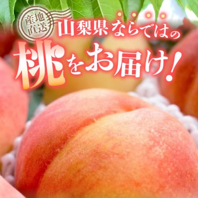 【2025年発送】先行予約 厳選 池田青果の大玉の桃 2kg(5玉～7玉)