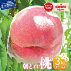 厳選　池田青果の大玉の桃　3kg(8玉～10玉)