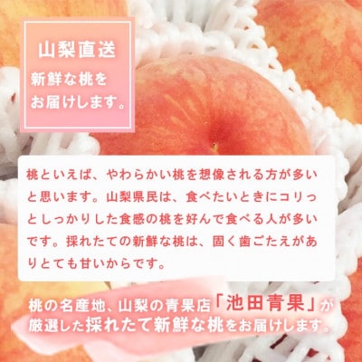 厳選　池田青果の大玉の桃　3kg(8玉～10玉)