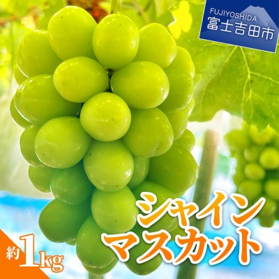 【2025年発送】 先行予約 シャインマスカット 2房 計1kg 厳選 山梨県産