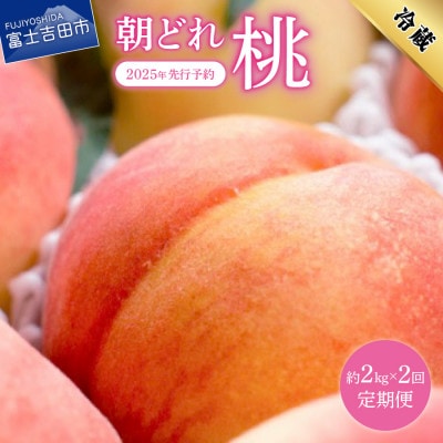 【発送月固定定期便】【2025年先行受付】山梨朝どれ桃2kg(白鳳系・白桃系)全2回