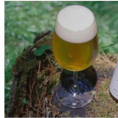 富士の静寂を醸す。希少な「黒文字」と清冽なる湧水が織りなす、至高のラグジュアリービール 3本セット