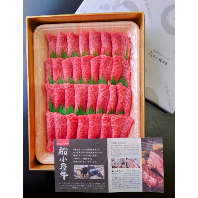 [筑後]船小屋牛赤身焼肉(モモ)　500g