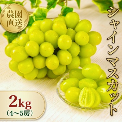 【全房糖度計測】糖度18度以上のみ出荷 シャインマスカット2kg(4〜5房)2026年8月〜9月発送