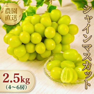 【全房糖度計測】糖度18度以上のみ出荷 シャインマスカット2.5kg(4〜6房)2026年発送