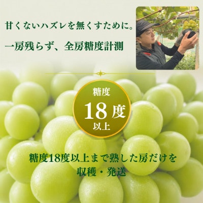 【全房糖度計測】糖度18度以上のみ出荷 シャインマスカット2.5kg(4〜6房)2026年発送