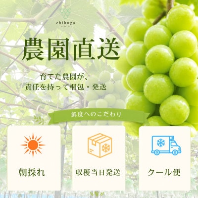 【全房糖度計測】糖度18度以上のみ出荷 シャインマスカット5kg(8〜12房)2026年発送
