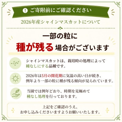 【全房糖度計測】糖度18度以上のみ出荷 シャインマスカット5kg(8〜12房)2026年発送