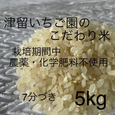 津留いちご園のこだわり米　栽培期間中　農薬・化学肥料不使用(ヒノヒカリ 7分づき 5kg)