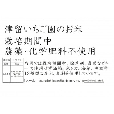 津留いちご園のこだわり米　栽培期間中　農薬・化学肥料不使用(ヒノヒカリ 7分づき 5kg)