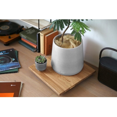 プランターベースW40 ウォルナット 【高野木工】