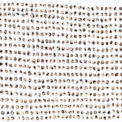 天然木アートフレーム　LITANIES(ABC-49)【高野木工】