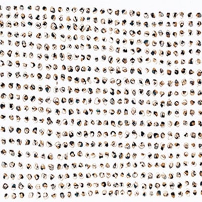 天然木アートフレーム　LITANIES(ABC-50)【高野木工】