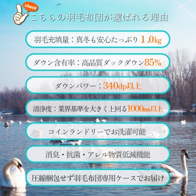 抗菌ダウン率85%1.0㎏本厚掛け羽毛布団シングル(無地アイボリー)【筑後七国羽毛ふとん】