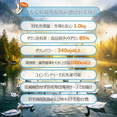 ダウン率85%1.0kg本厚掛け羽毛布団シングル(無地アイボリー)【筑後七国羽毛ふとん】