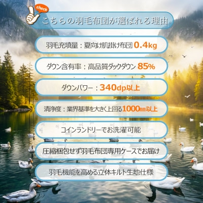 ダウン85% 0.4kg 洗える肌掛け羽毛布団シングル (無地アイボリー)【筑後七国羽毛ふとん】