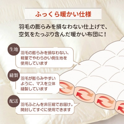 抗菌ダウン85% 0.3kg 洗える肌掛け羽毛布団シングル (ブルー系)【筑後七国羽毛ふとん】