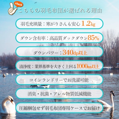 抗菌ダウン85%極暖1.2kg本厚掛け羽毛布団シングル(ブルー系柄お任せ)【筑後七国羽毛ふとん】