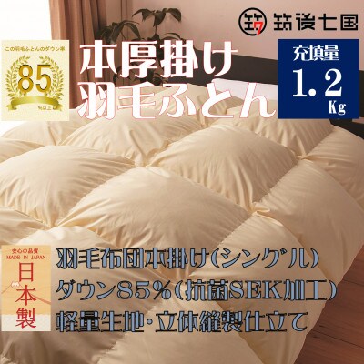 羽毛布団 シングル ホワイトダック90% 増量 抗菌防臭羽毛 ブルー系 
