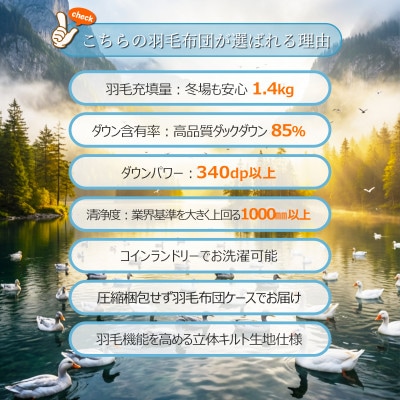ダウン85% 1.4kg本厚掛け 洗える羽毛布団ダブル (アイボリー無地) 筑後七国羽毛ふとん
