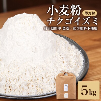 チクゴイズミ小麦粉(薄力粉)5kg