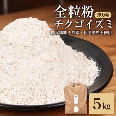チクゴイズミ全粒粉(薄力粉)5kg