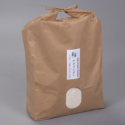チクゴイズミ全粒粉(薄力粉)5kg