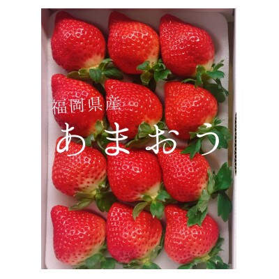 あまおう500g(化粧箱入り)×1箱