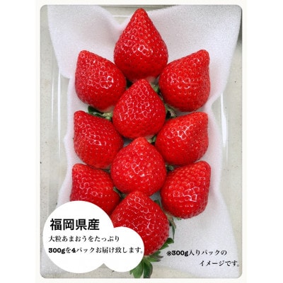 あまおう300g×4パック