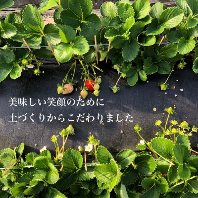 あまおう300g×4パック