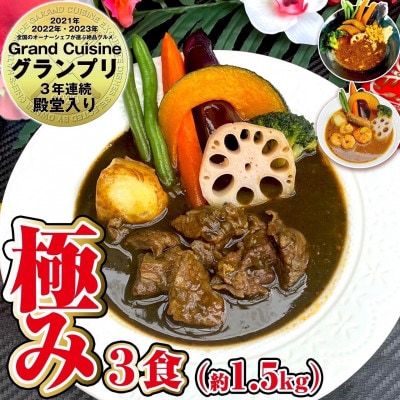 【極み】スープカレー極み3食セット(3～6人前)ジャングルスープカレー