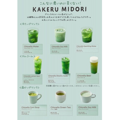 【毎月定期便】KAKERU MIDORI 20包×2袋全6回
