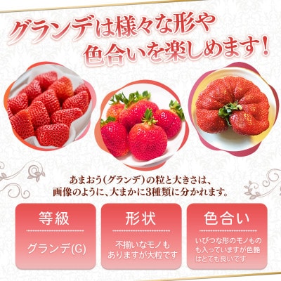 高級苺！！福岡県産【あまおう】グランデ5Lサイズ 10パック(5箱) Amazon.co.jp: あまおう 苺 約280g×2パック 福岡県産 いちご