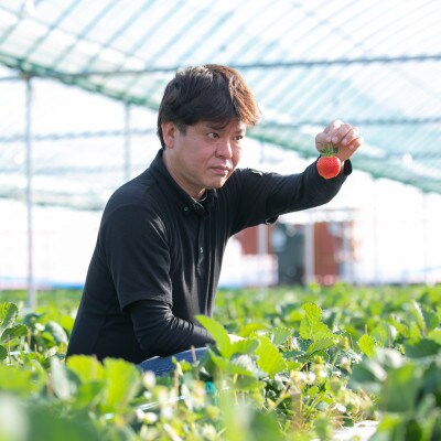 古蓮あまおうアイスクリーム (75ml)×6個(筑後市)