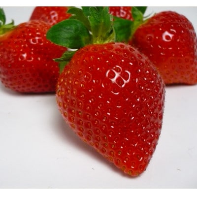 [秀品]あまおう250g×4パック(M～2Lサイズ)