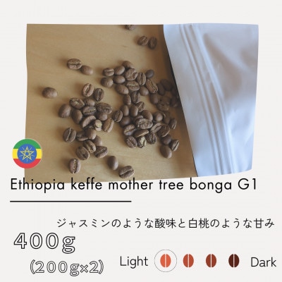 エチオピア　カッファ　マザーツリー　ボンガ　G1　(浅煎り)200g×2