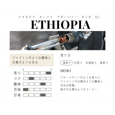 エチオピア　カッファ　マザーツリー　ボンガ　G1　(浅煎り)200g×2