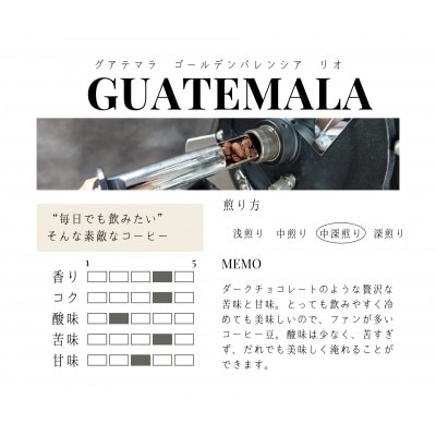 【粉】グアテマラ　ゴールデンパレンシア　リオ　ウォッシュド(中深煎り)200g×2