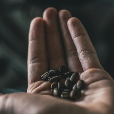 【発送月固定定期便】インドネシア　マンデリン　ビンタンリマ(深煎り)200g×2袋全12回