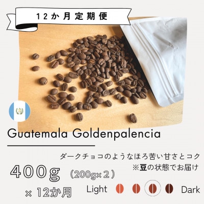 【発送月固定定期便】グアテマラ　ゴールデンパレンシア(中深煎り)200g×2袋全12回