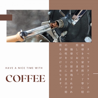 【発送月固定定期便】グアテマラ　ゴールデンパレンシア(中深煎り)200g×2袋全12回