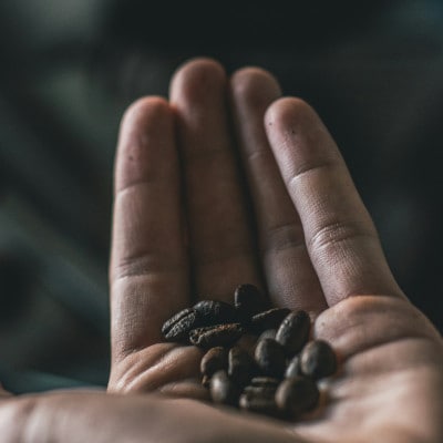 【発送月固定定期便】エチオピア　イルガチャフィ　ベレカG1(浅煎り)200g×2袋全12回