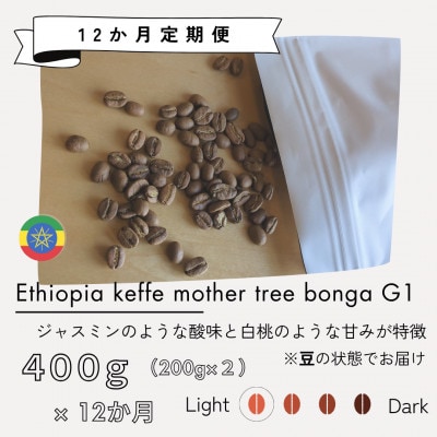 【発送月固定定期便】エチオピア　カッファマザーツリーボンガG1　400g(200g×2)全12回