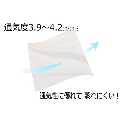 ポーランドホワイトグースダウン90%羽毛合掛け布団 冬用の2分の1量シングル0.5kg入り