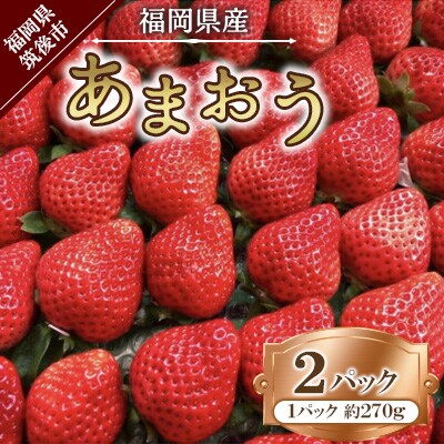 【2025年2月下旬～順次発送予定】福岡県産 あまおう 合計約540g 約270g×2パック