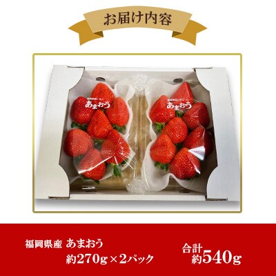 【2025年2月下旬～順次発送予定】福岡県産 あまおう 合計約540g 約270g×2パック