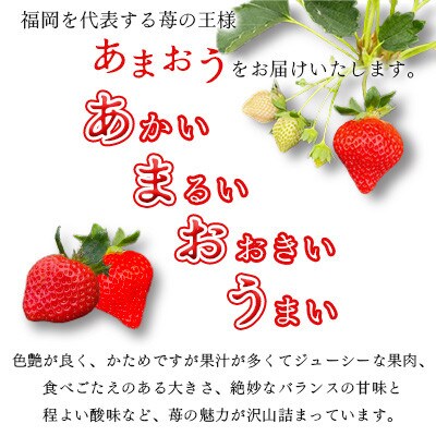 【2026年1月下旬～順次発送予定】福岡県産 あまおう 合計約1,080g 約270g×4パック